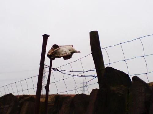 Complete & utter madness...