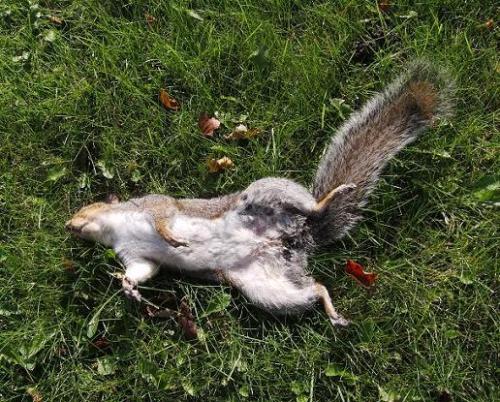 The road to Enlightenment